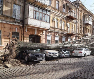 Женщина погибла в результате падения дерева в Одессе