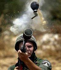 Израильский депутат предложила распугивать палестинских провокаторов нужно "поносным" газом