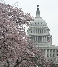 Сегодня Конгресс займется бюджетными законопроектами