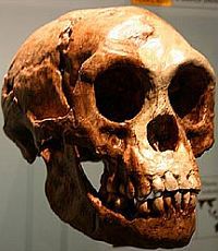 Пять тыс. лет назад люди уже умели проводить операции по трепанации черепа