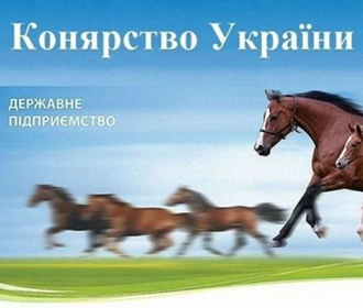 Ипподром под застройку, лошадей на колбасу: как министр Петрашко распоряжается коневодством Украины