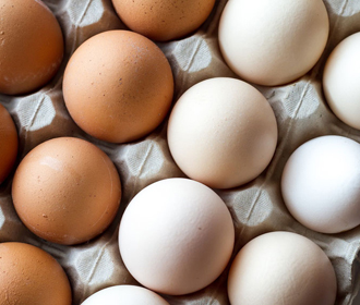 Украина запретила ввоз курятины и яиц из Польши из-за болезни Ньюкасла