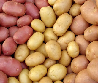Картофель снижает риск гипертонии
