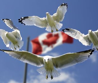 Украина и Канада начнут переговоры о пересмотре соглашения о зоне свободной торговли