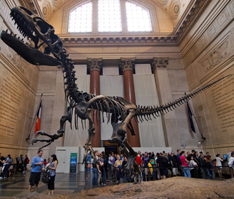 Американские ученые подтвердили гипотезу о гибели динозавров от астероида