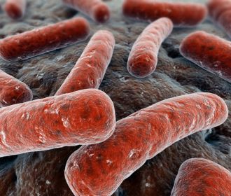Найден уничтожающий бактерии токсин
