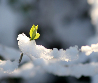 В ближайшие дни на Украине будет холодно, местами небольшой снег