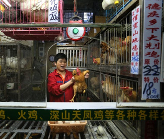 В Китае от птичьего гриппа H3N8 впервые умер человек