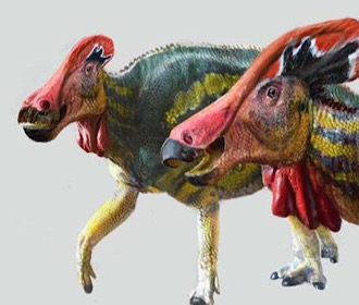 В Мексике найден новый вид древнего динозавра