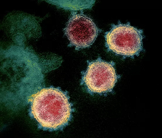 В Норвегии обнаружили новый вариант Дельта-штамма коронавируса
