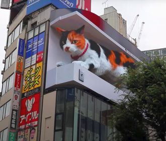 В Японии на торговом центре появился огромная мяукающая 3D-кошка