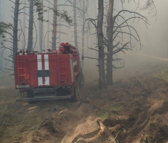 Счетная палата: война, пожары и вырубка деревьев нанесли Украине ущерб почти на 23 млрд грн
