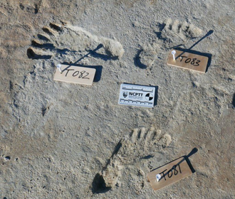 Ученые нашли в США человеческие следы, которым более 20 тысяч лет