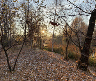 осень