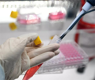 Ученые выделили антитела, эффективные против штамма Омикрон