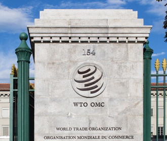 Украина подала в ВТО иски против Польши, Словакии и Венгрии