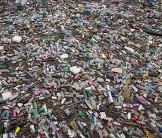 Минэкологии и «Слуги Народа» выступили против переработки отходов