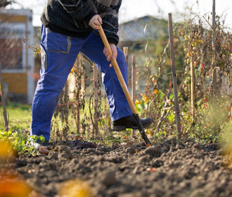 Более половины украинцев планируют сажать огород в этом году