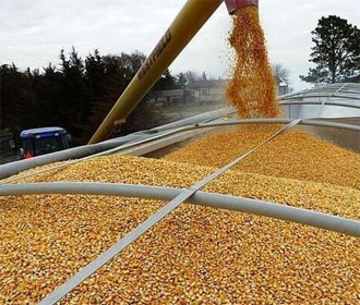 К хищениям на экспорте зерна причастны более 10 чиновников - СБУ