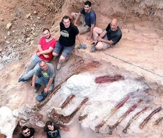 Житель Португалии нашел во дворе останки огромного динозавра