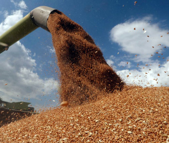 Литва и Эстония поддержали инициативу Латвии по запрету импорта зерна из РФ - премьер Латвии