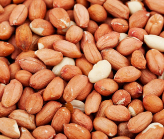 В Украине обнаружен арахис с ядовитым афлатоксином – Госпродпотребслужба