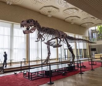 В Швейцарии с молотка уйдет редкий скелет тираннозавра
