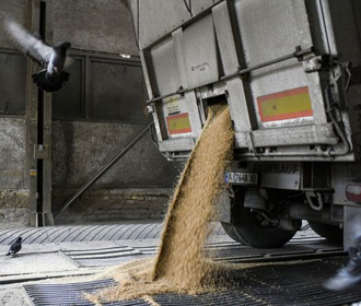Цены на пшеницу резко выросли на фоне эскалации напряженности в Черном море - Bloomberg