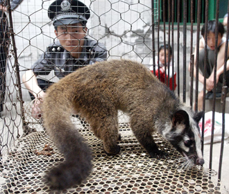 Китайская полиция задержала более 90 тыс человек за преступления связанные с дикими животными