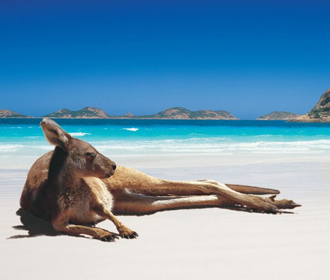 Австралийский пляж с кенгуру признали самым красивым в мире