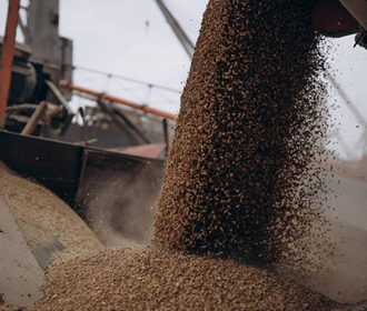 Украина сможет экспортировать 50 млн тонн зерна урожая 2023г - УЗА