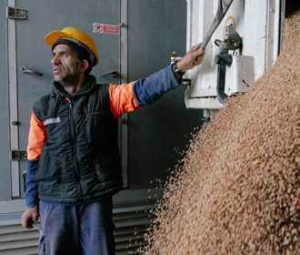Цены на пшеницу рекордно снизились - Bloomberg