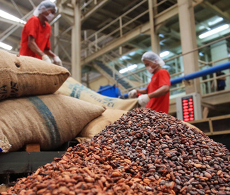 Какао рекордно подорожало из-за глобальной проблемы