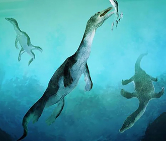 Ученые обнаружили древнейшую окаменелость морской рептилии